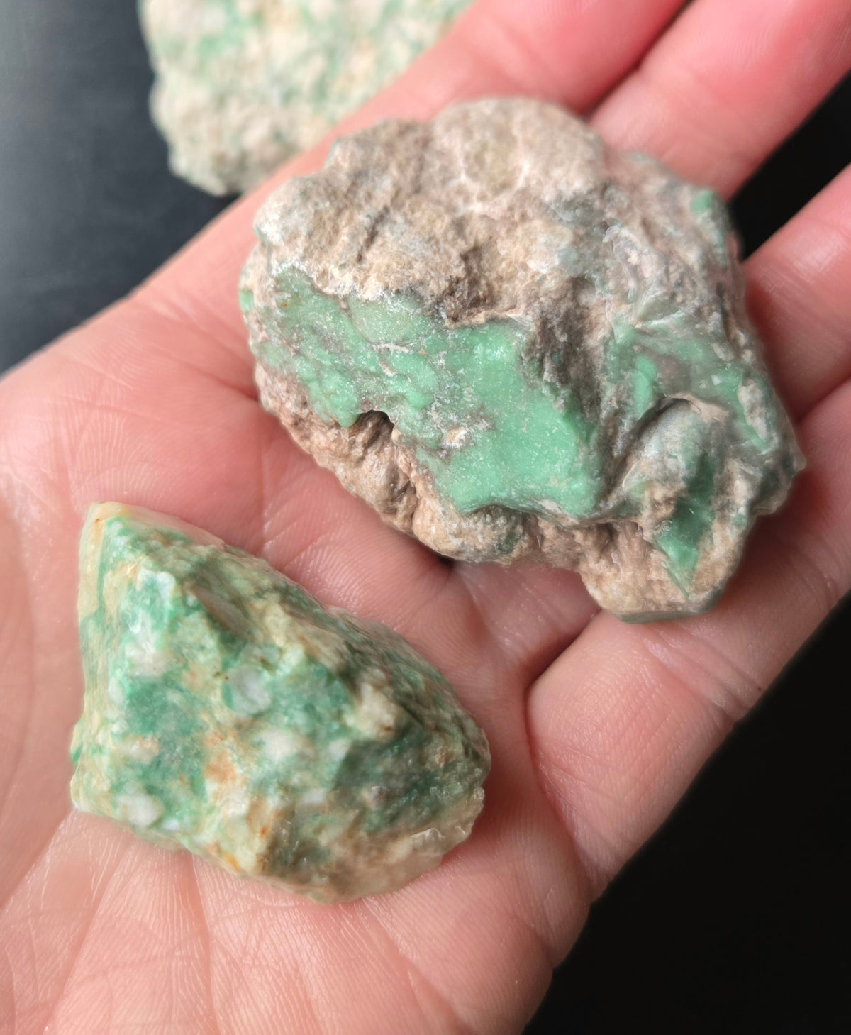 Lucin Variscite Rough for cabbing - Natural Utah Variscite- Lot 16