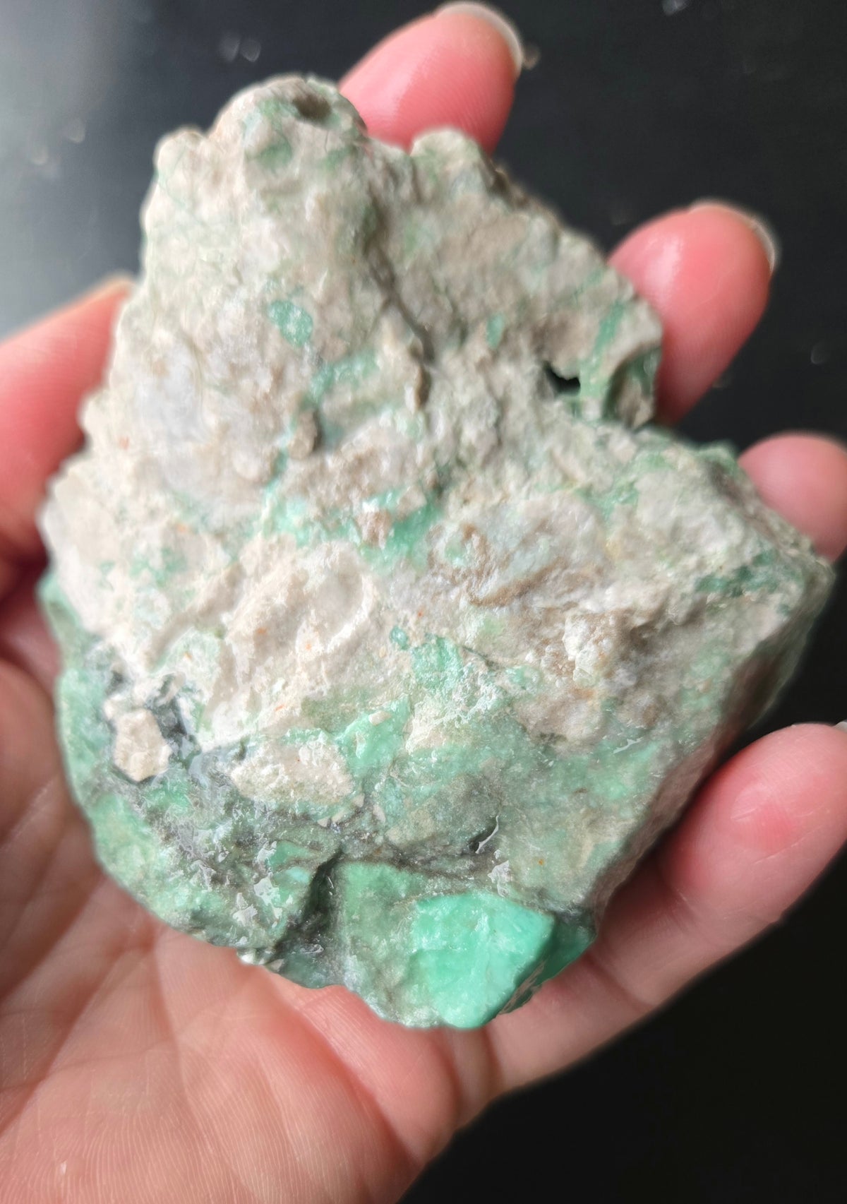 Lucin Variscite Rough for cabbing - Natural Utah Variscite- Lot 17
