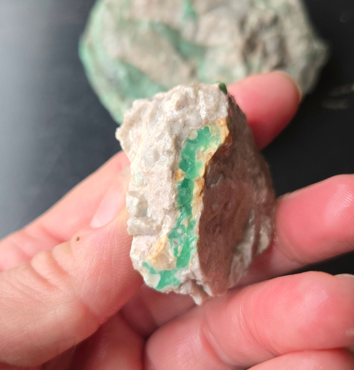 Lucin Variscite Rough for cabbing - Natural Utah Variscite- Lot 17