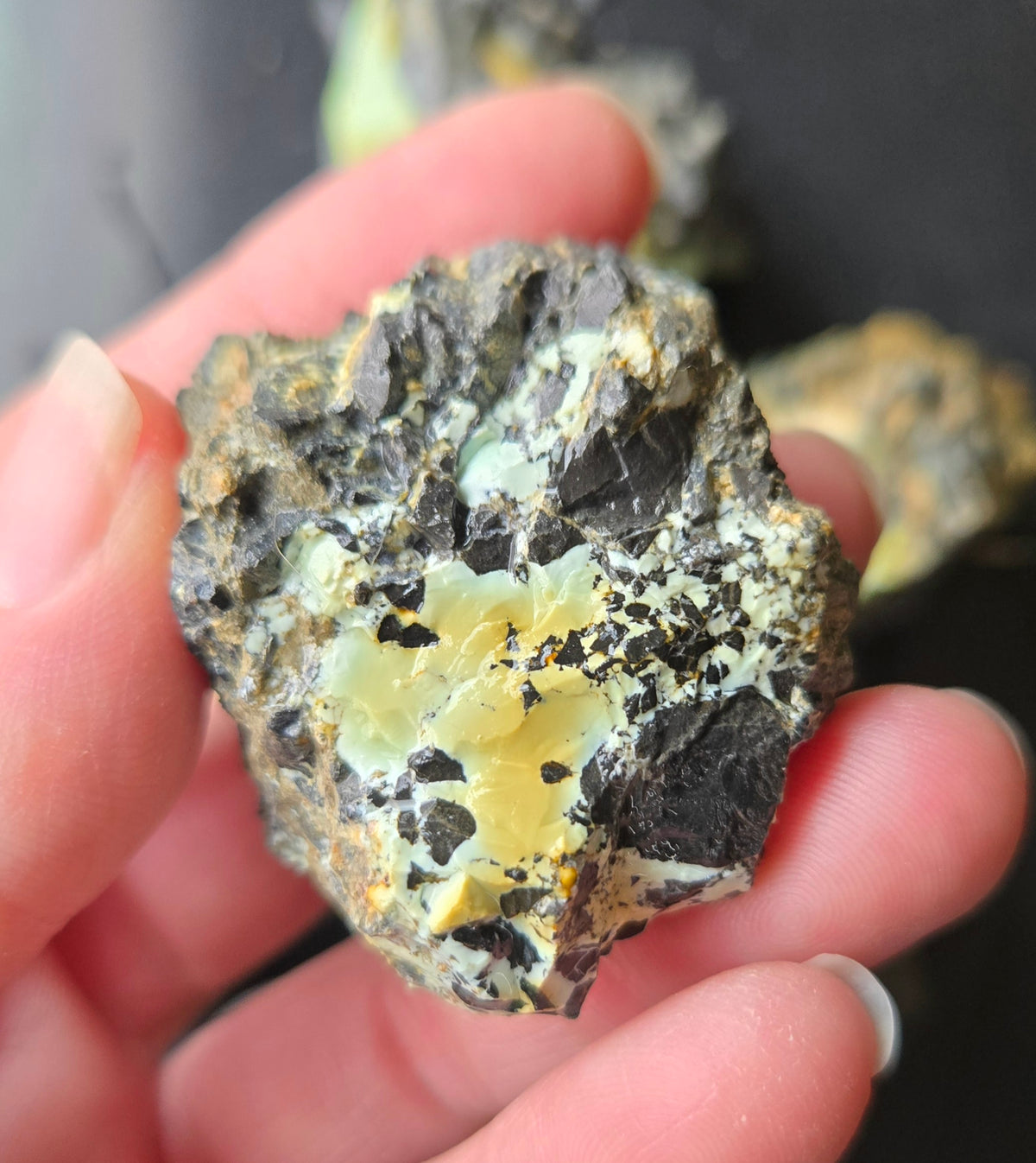 Gecko Variscite rough for cabbing -Natural Nevada Variscite- 224 grams lot 4