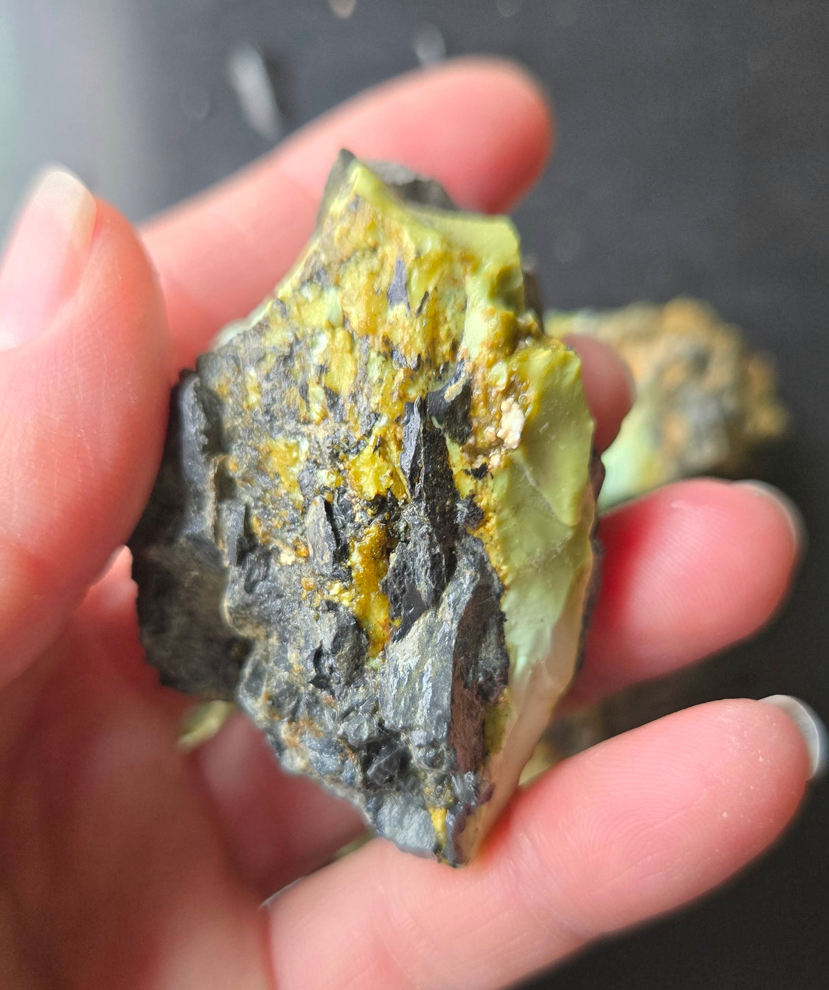 Gecko Variscite rough for cabbing -Natural Nevada Variscite- 224 grams lot 4