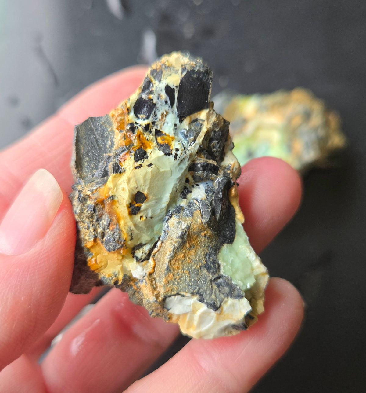Gecko Variscite rough for cabbing -Natural Nevada Variscite- 224 grams lot 4