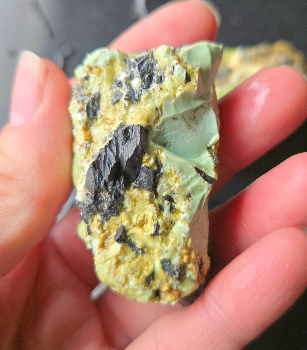 Gecko Variscite rough for cabbing -Natural Nevada Variscite- 224 grams lot 4
