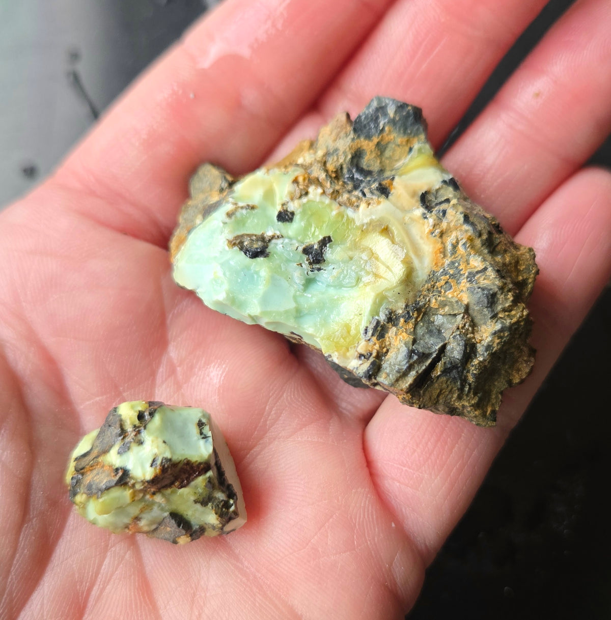 Gecko Variscite rough for cabbing -Natural Nevada Variscite- 224 grams lot 4