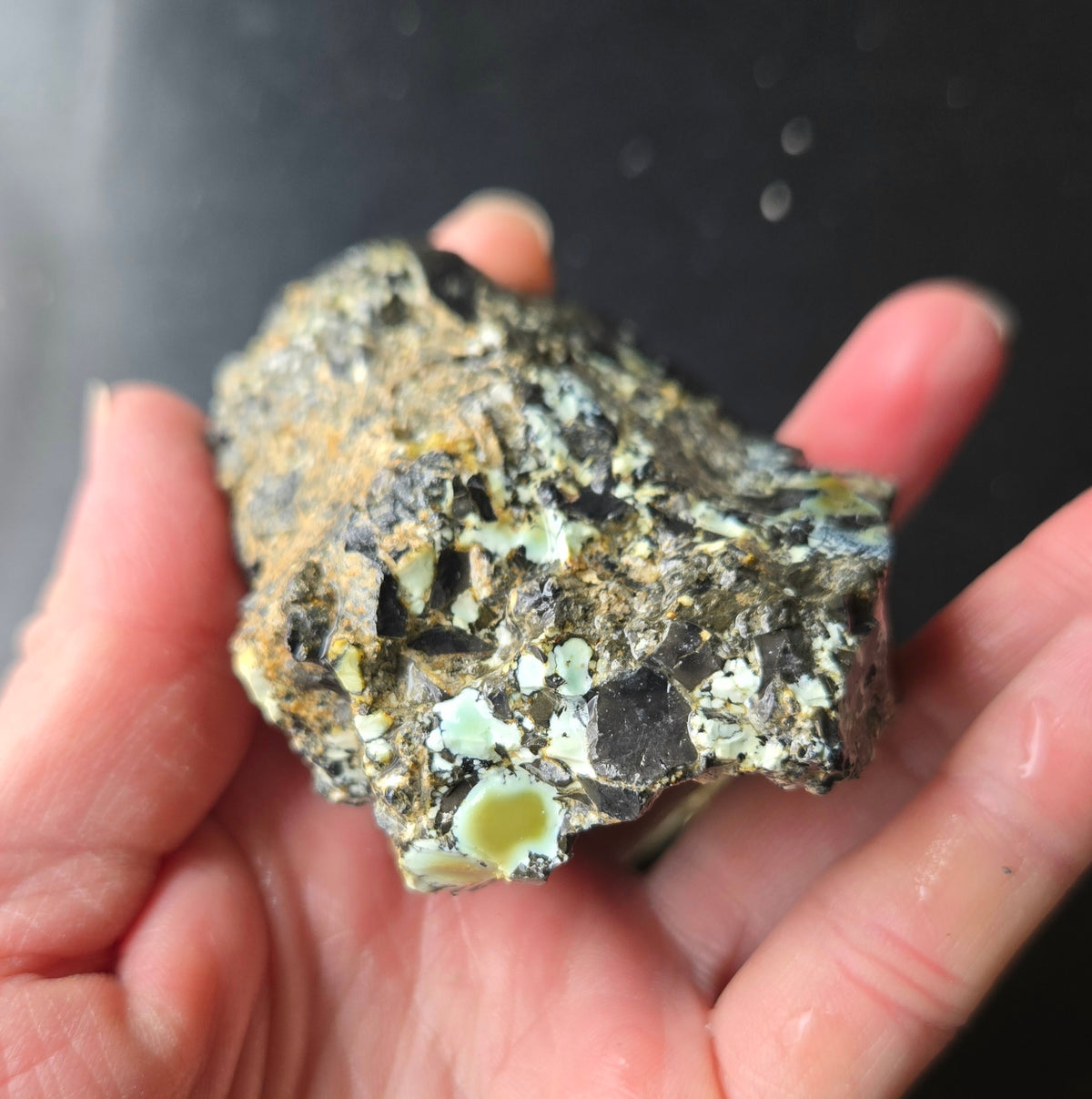 Gecko Variscite rough for cabbing -Natural Nevada Variscite- 448 grams lot 3