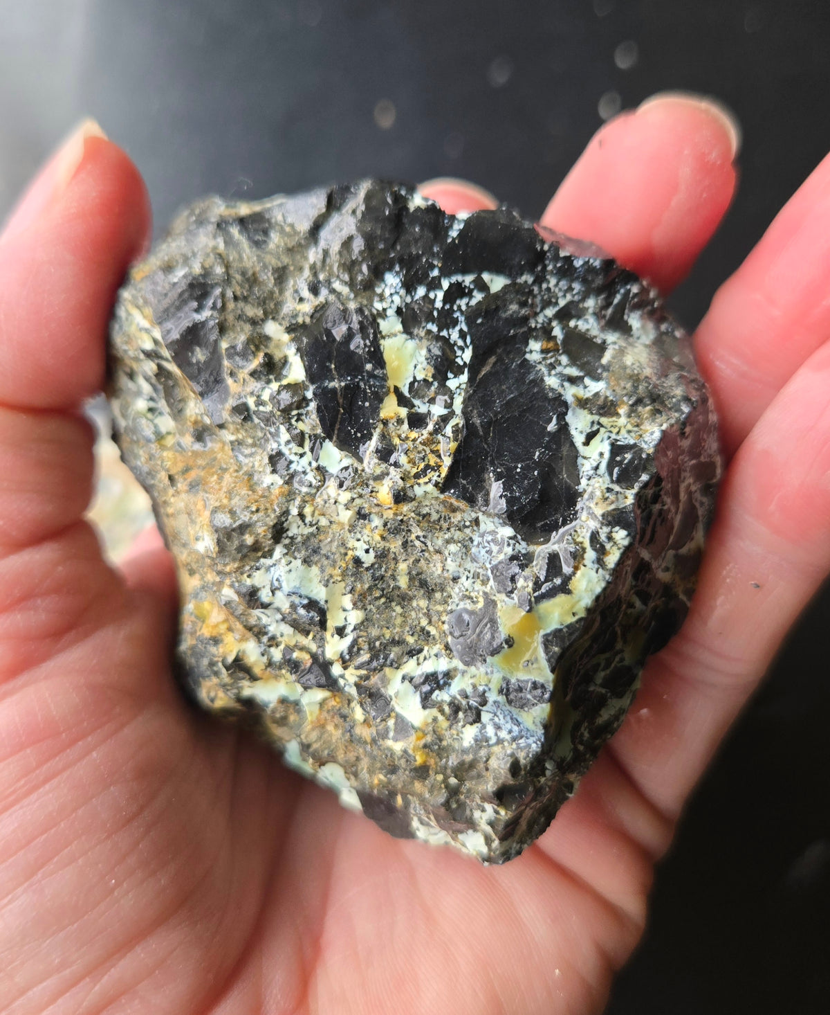 Gecko Variscite rough for cabbing -Natural Nevada Variscite- 448 grams lot 3