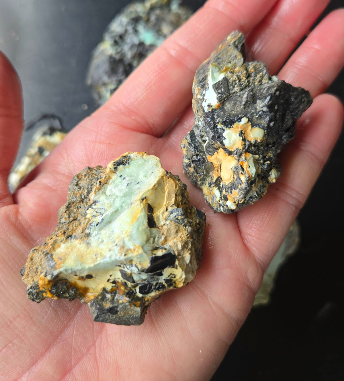 Gecko Variscite rough for cabbing -Natural Nevada Variscite- 448 grams lot 3
