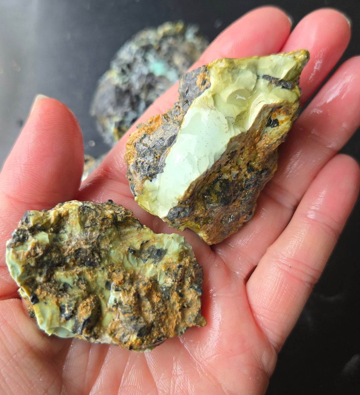 Gecko Variscite rough for cabbing -Natural Nevada Variscite- 448 grams lot 3