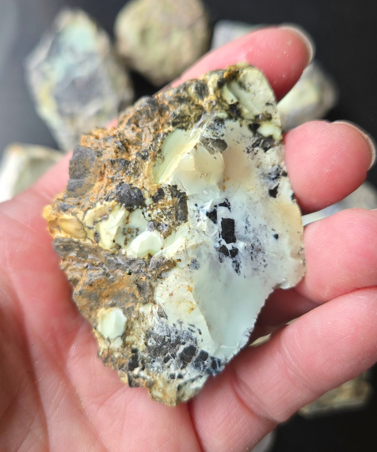 Gecko Variscite rough for cabbing -Natural Nevada Variscite- 448 grams lot 4