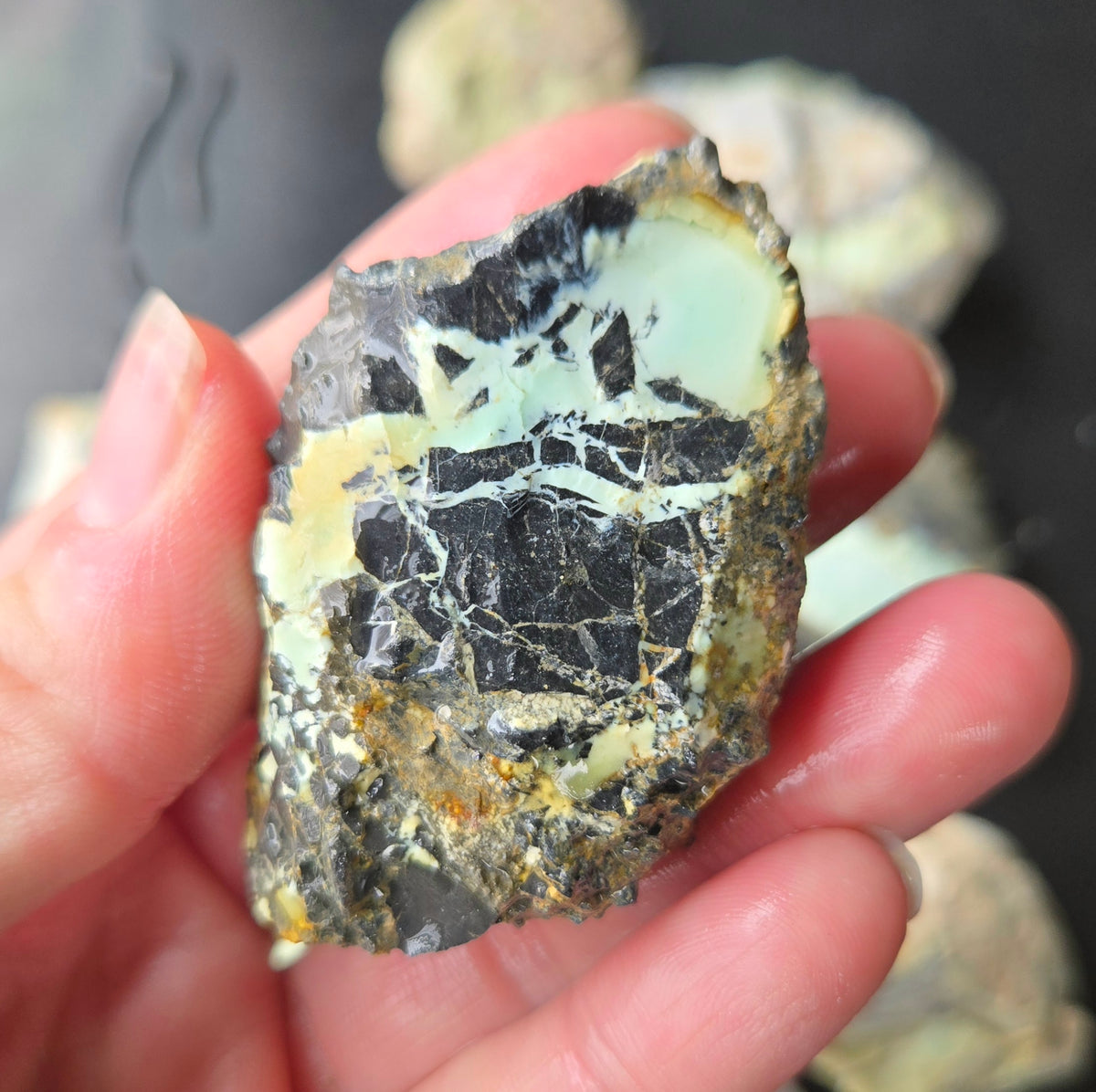 Gecko Variscite rough for cabbing -Natural Nevada Variscite- 448 grams lot 4