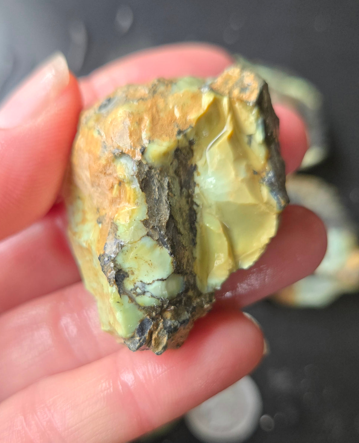Gecko Variscite rough for cabbing -Natural Nevada Variscite- 448 grams lot 4