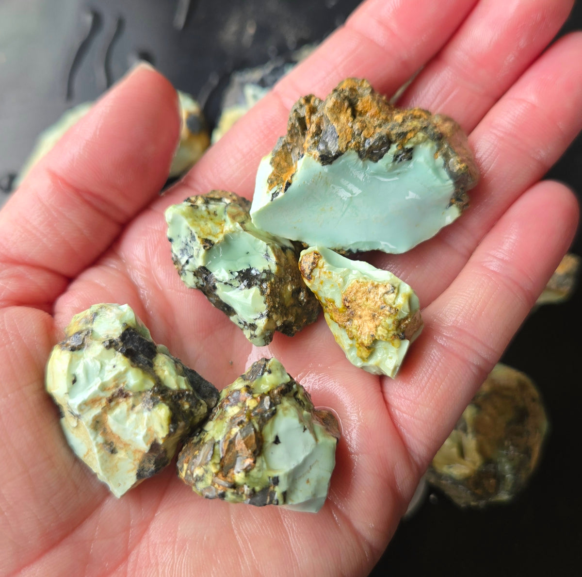 Gecko Variscite rough for cabbing -Natural Nevada Variscite- 448 grams lot 4