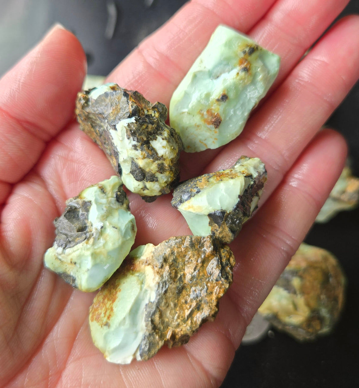 Gecko Variscite rough for cabbing -Natural Nevada Variscite- 448 grams lot 4