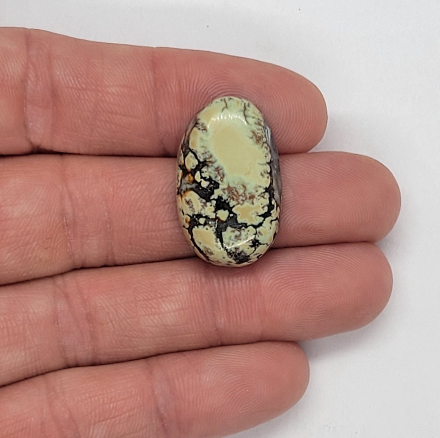 Saguaro Variscite Cabochon