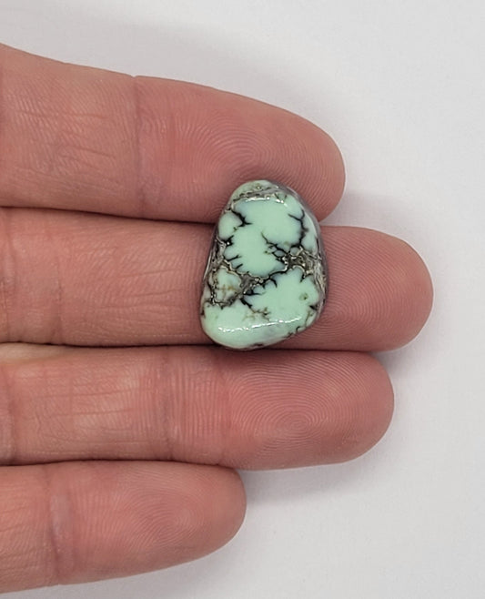 Saguaro Variscite Cabochon