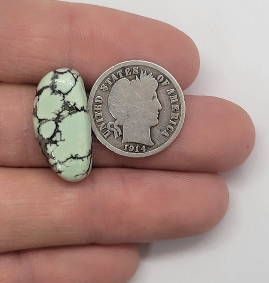 Saguaro Variscite Cabochon