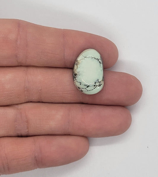 Emerald Basin Variscite Cabochon