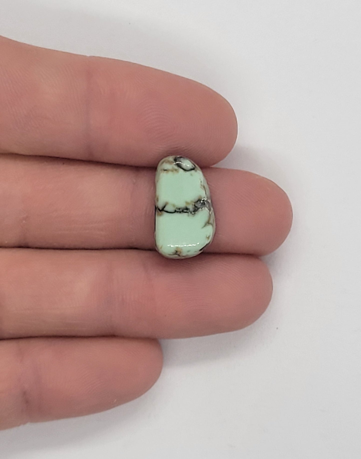 Saguaro Variscite Cabochon