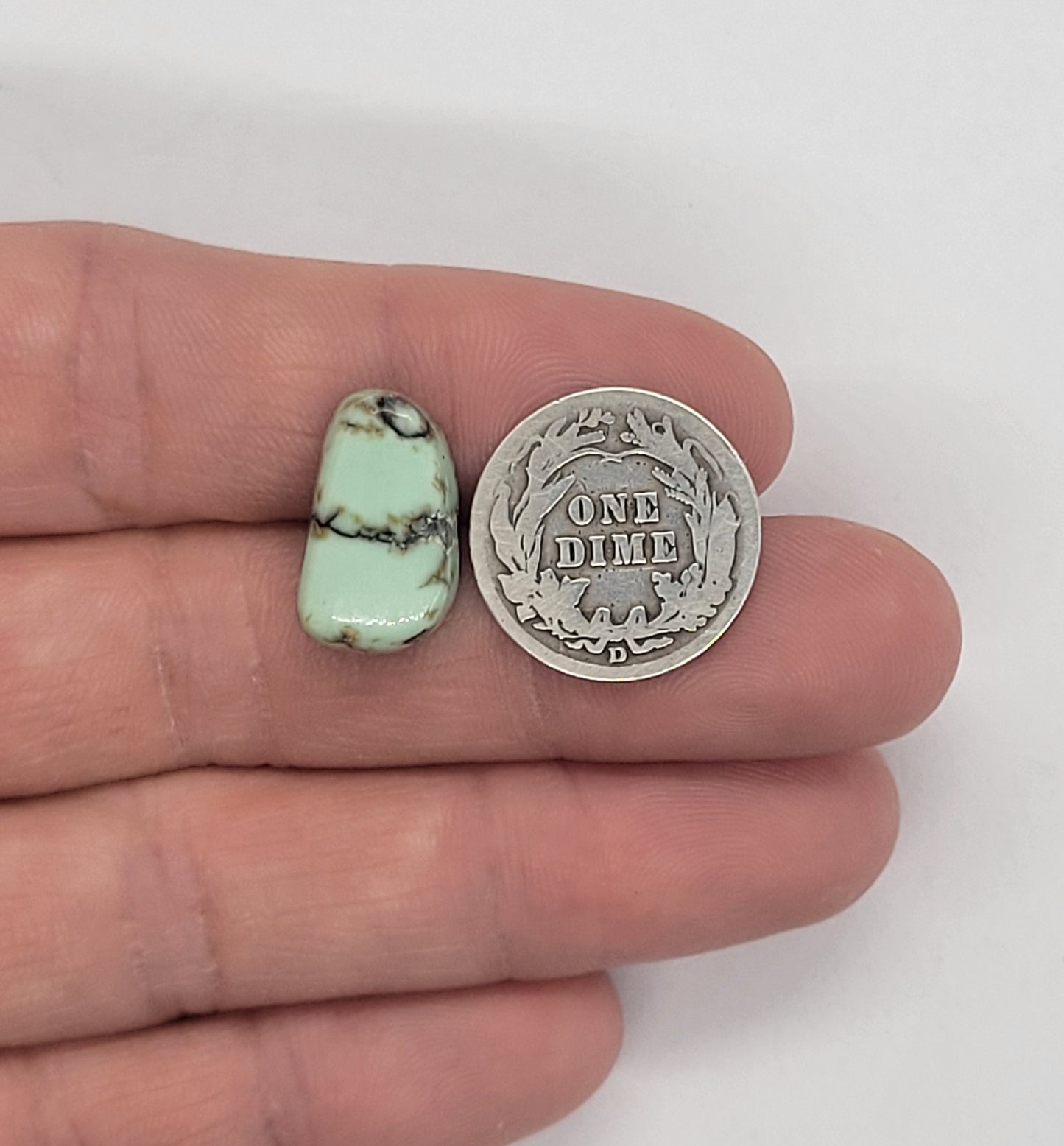 Saguaro Variscite Cabochon