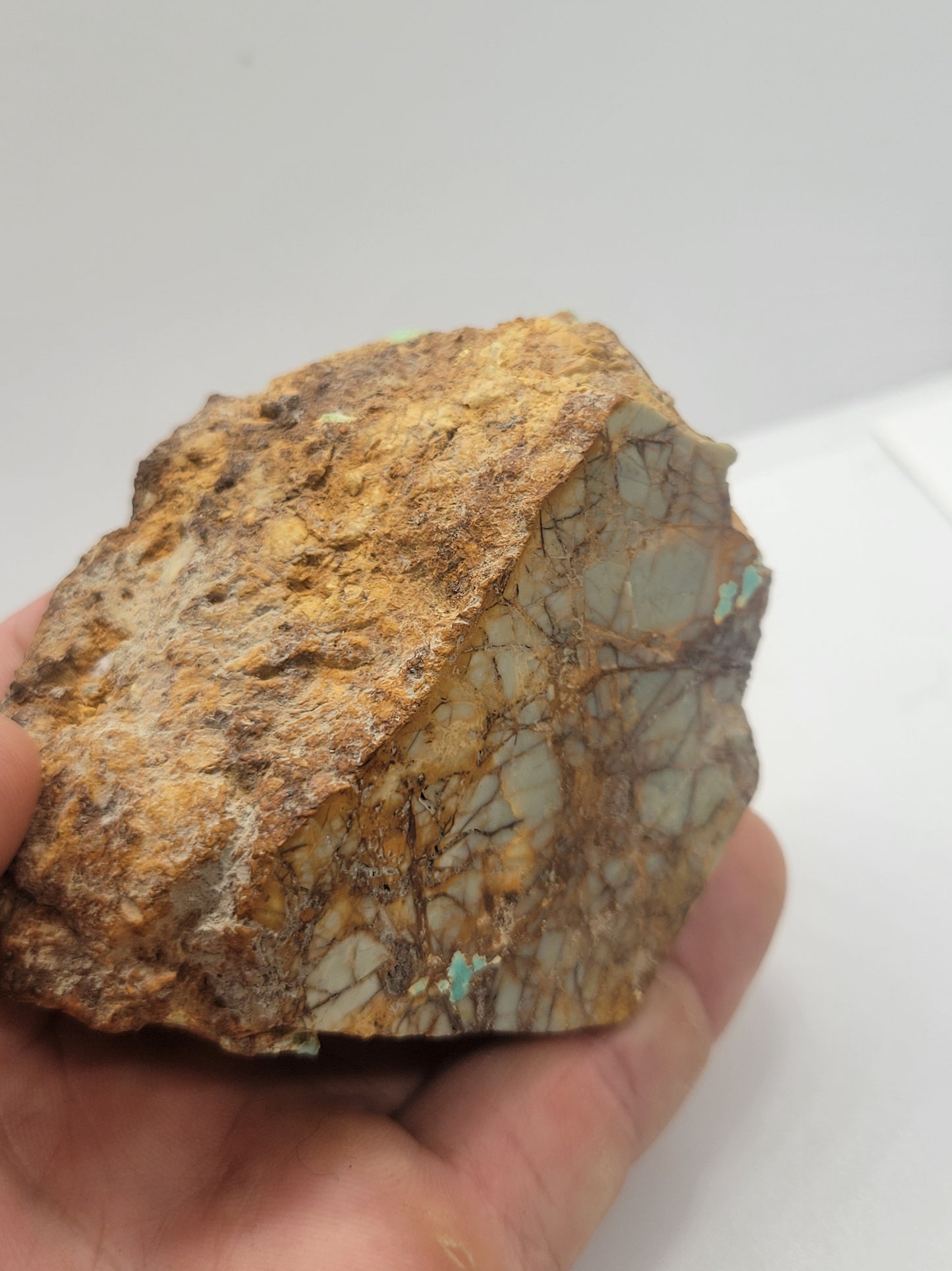 Royston Turquoise rough for cabbing - 195 grams