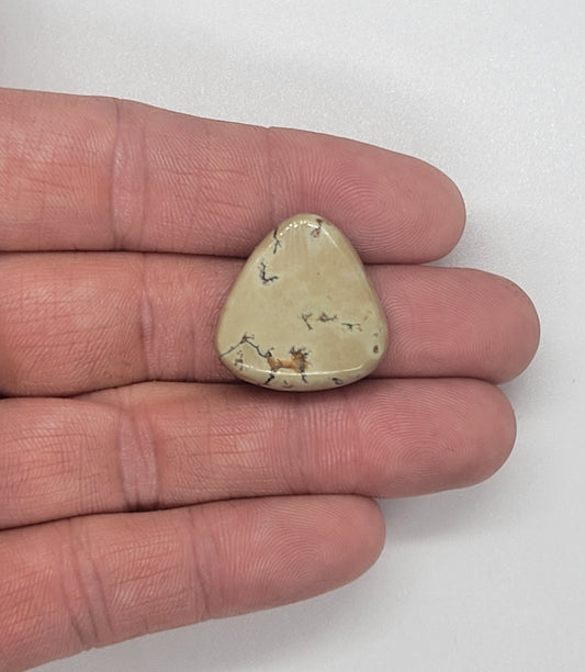 Saguaro Variscite Cabochon