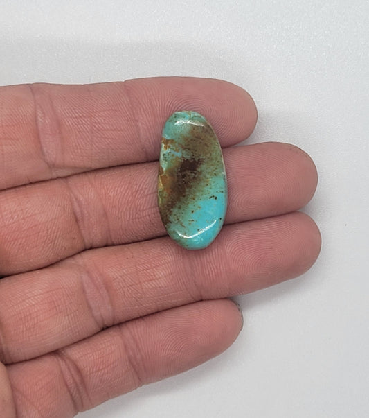 Masons Pass Turquoise Cabochon