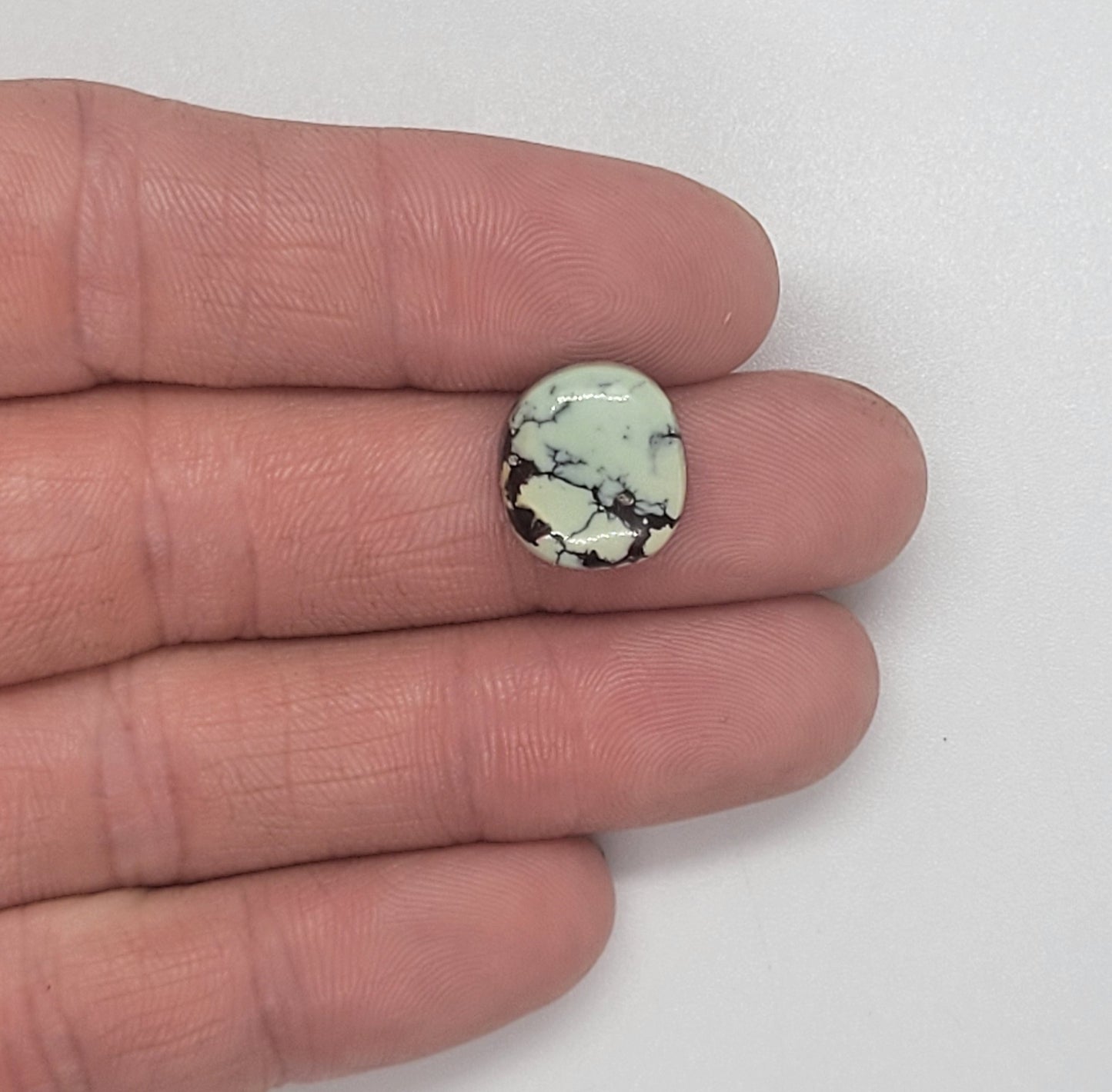 Prince Mine Variscite Cabochon