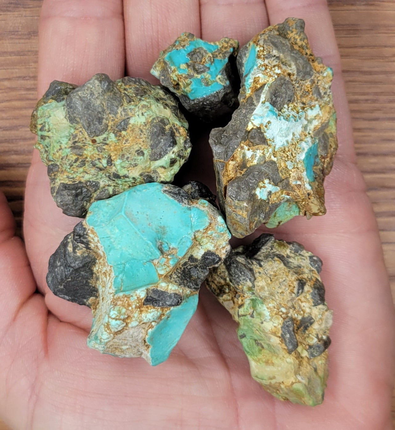 Carico Lake Turquoise rough for cabbing - 100 gram lot