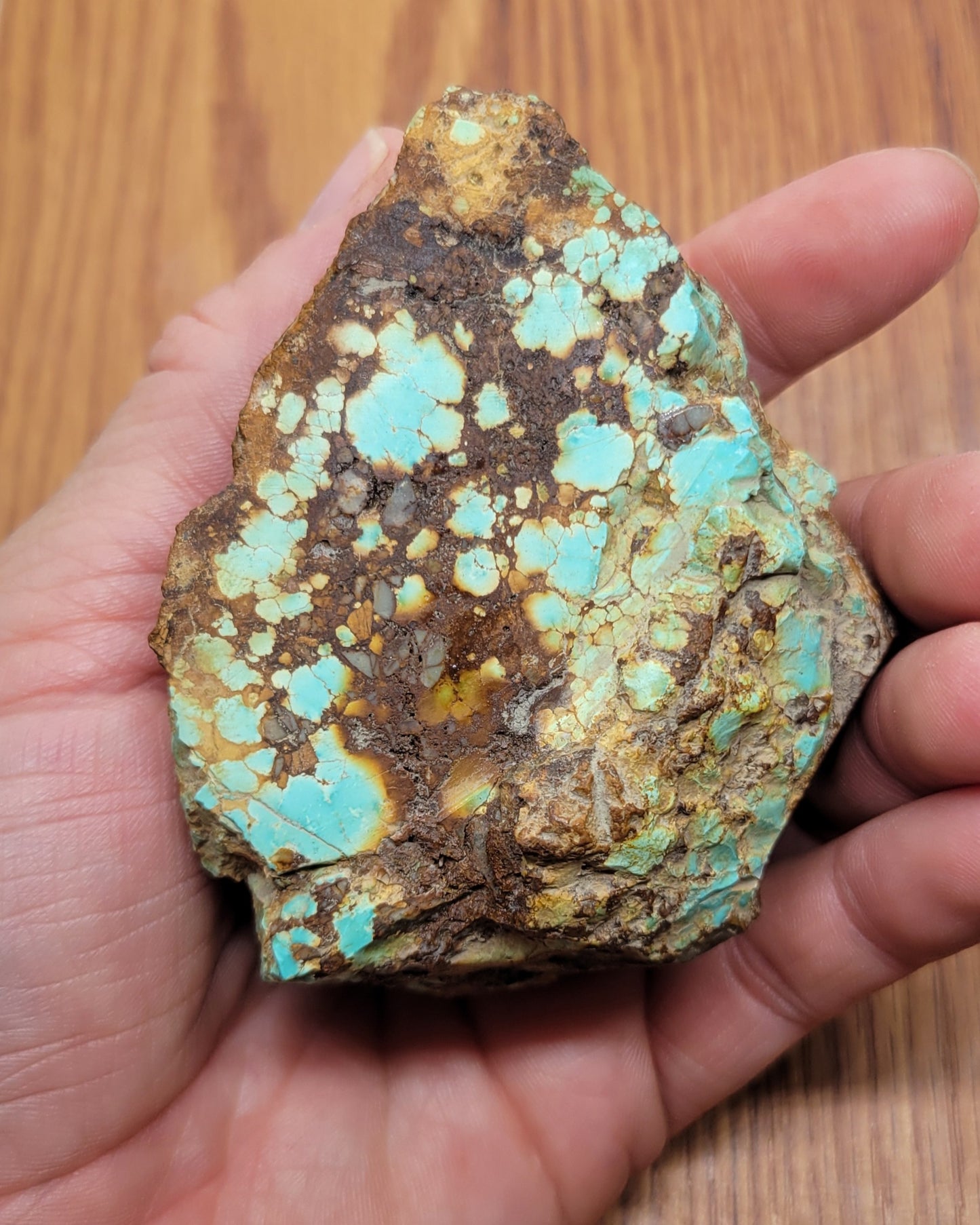 Royston Turquoise rough for cabbing - 195 grams