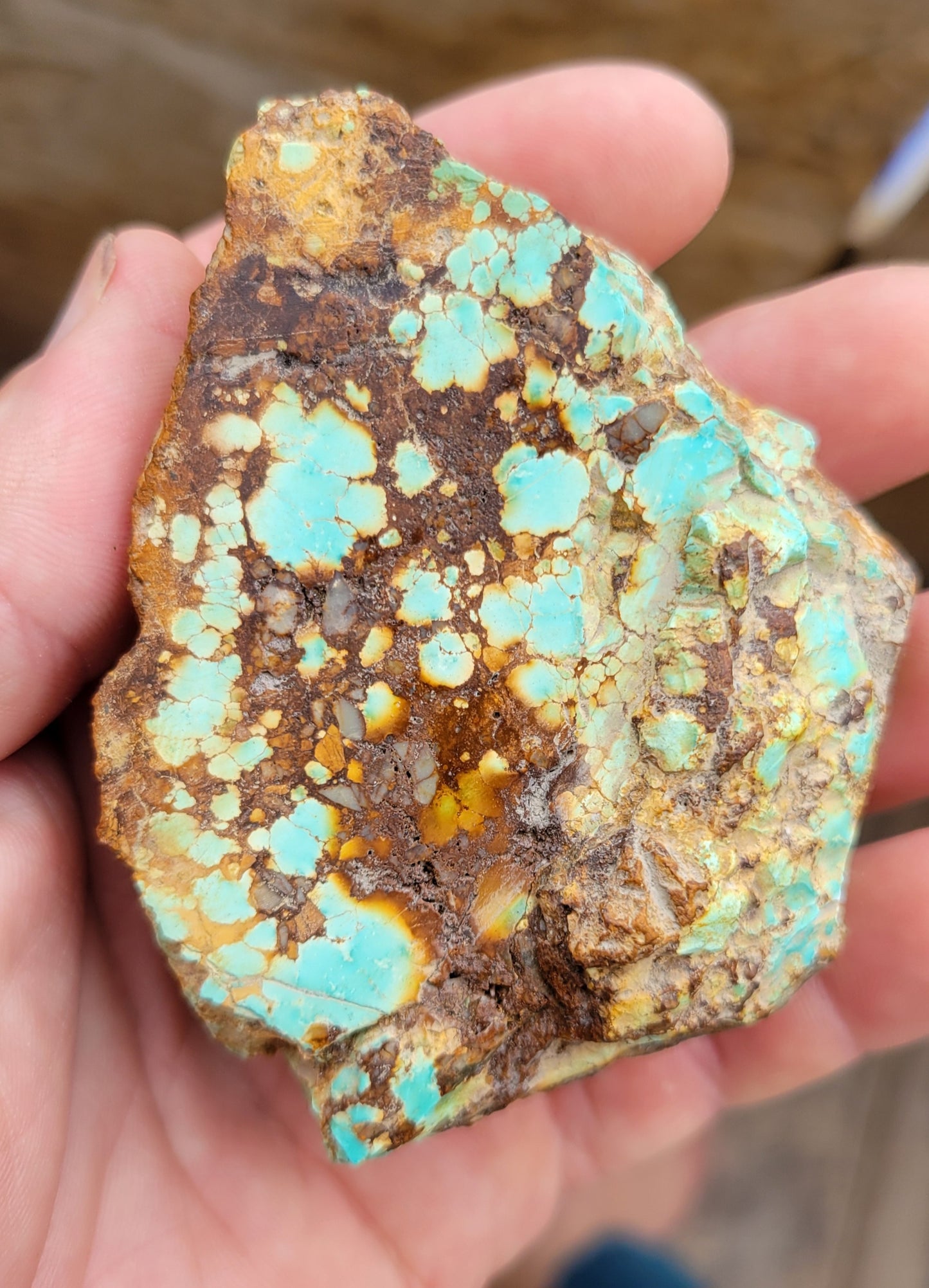 Royston Turquoise rough for cabbing - 195 grams