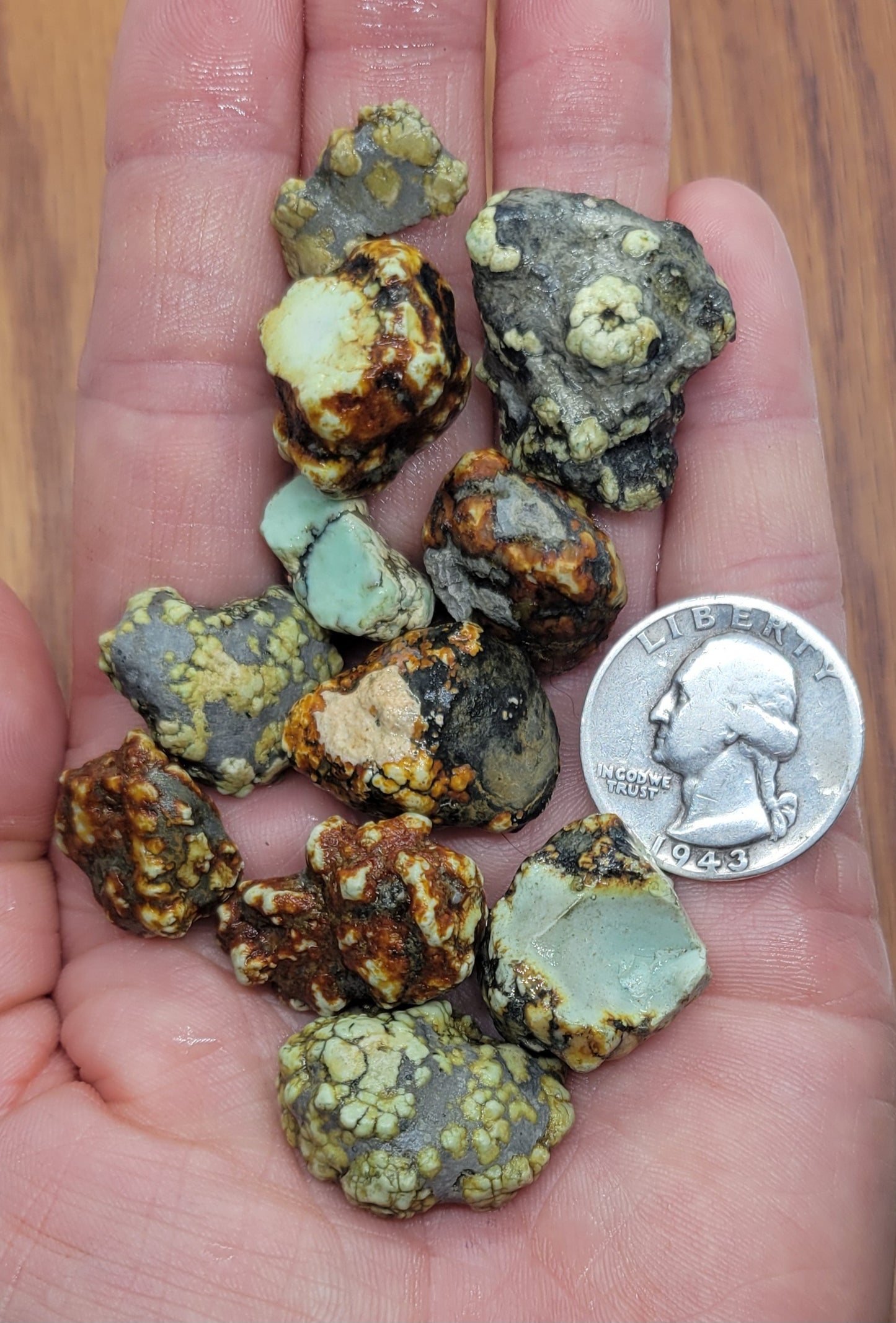 Saguaro Variscite Rough for Cabbing (Bulk)