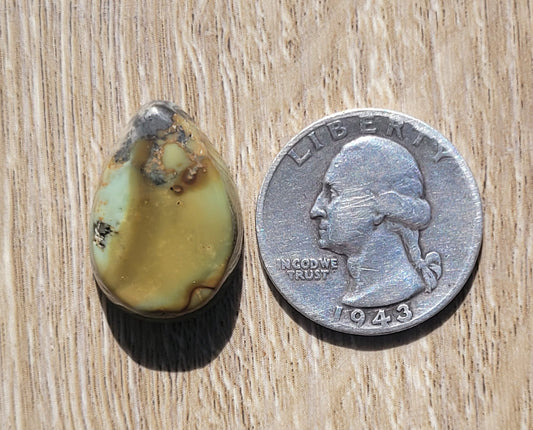 Frog Blossom Variscite Cabochon