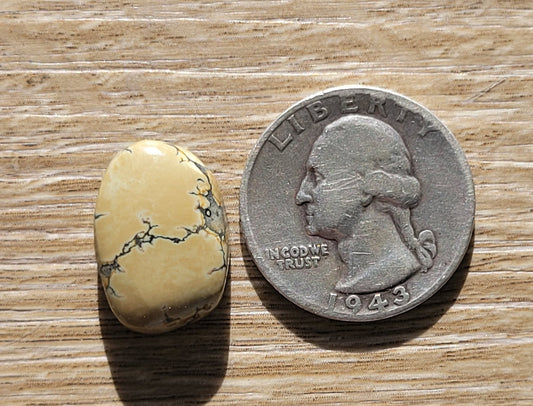 Saguaro Variscite Cabochon