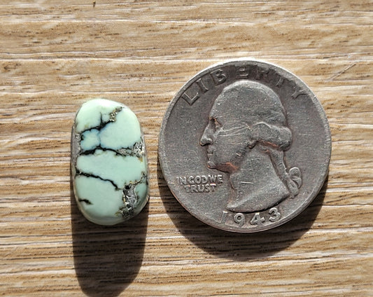 Saguaro Variscite Cabochon