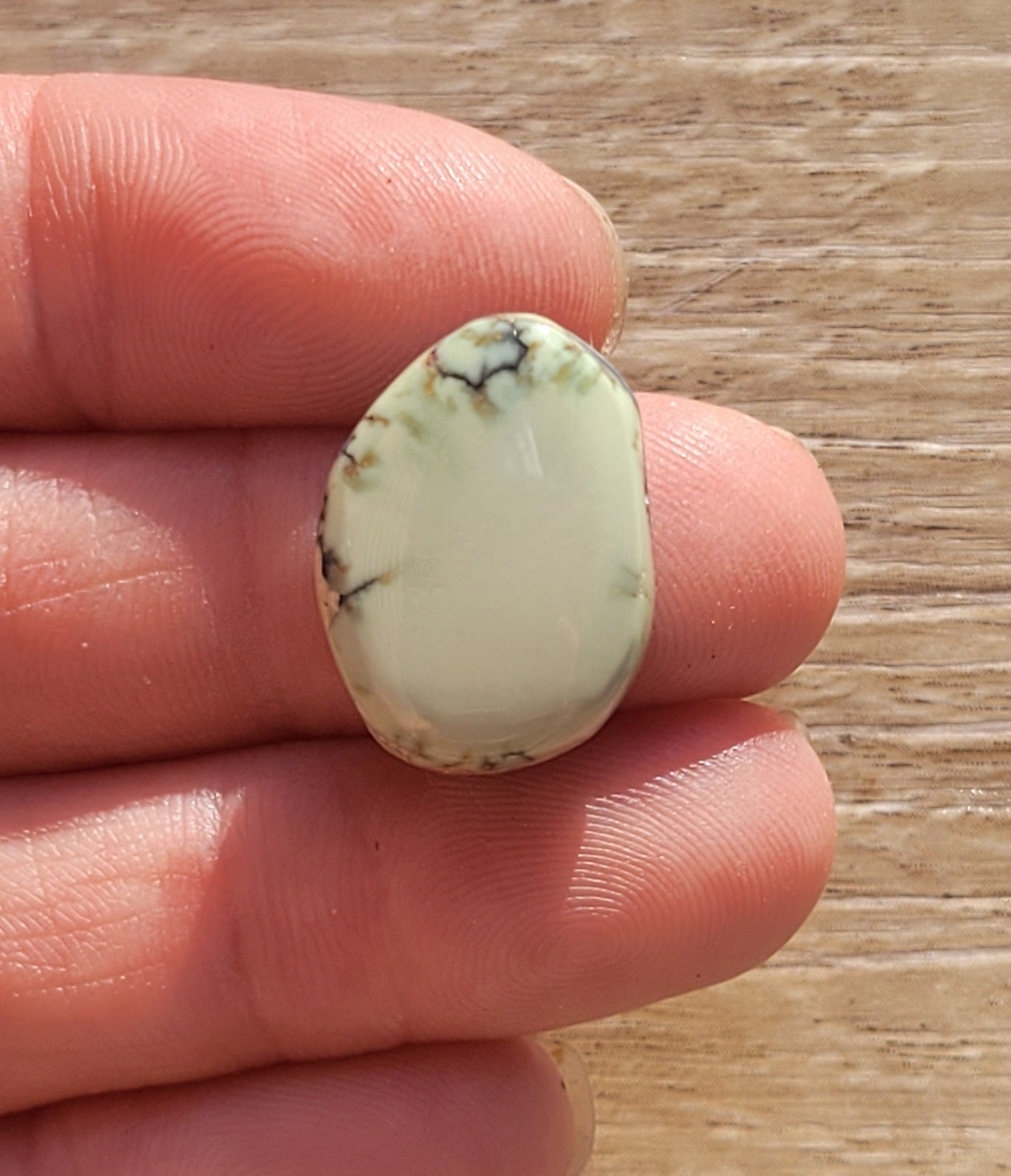 Saguaro Variscite Cabochon