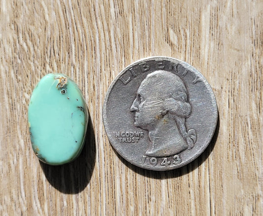 Frog Blossom Variscite Cabochon