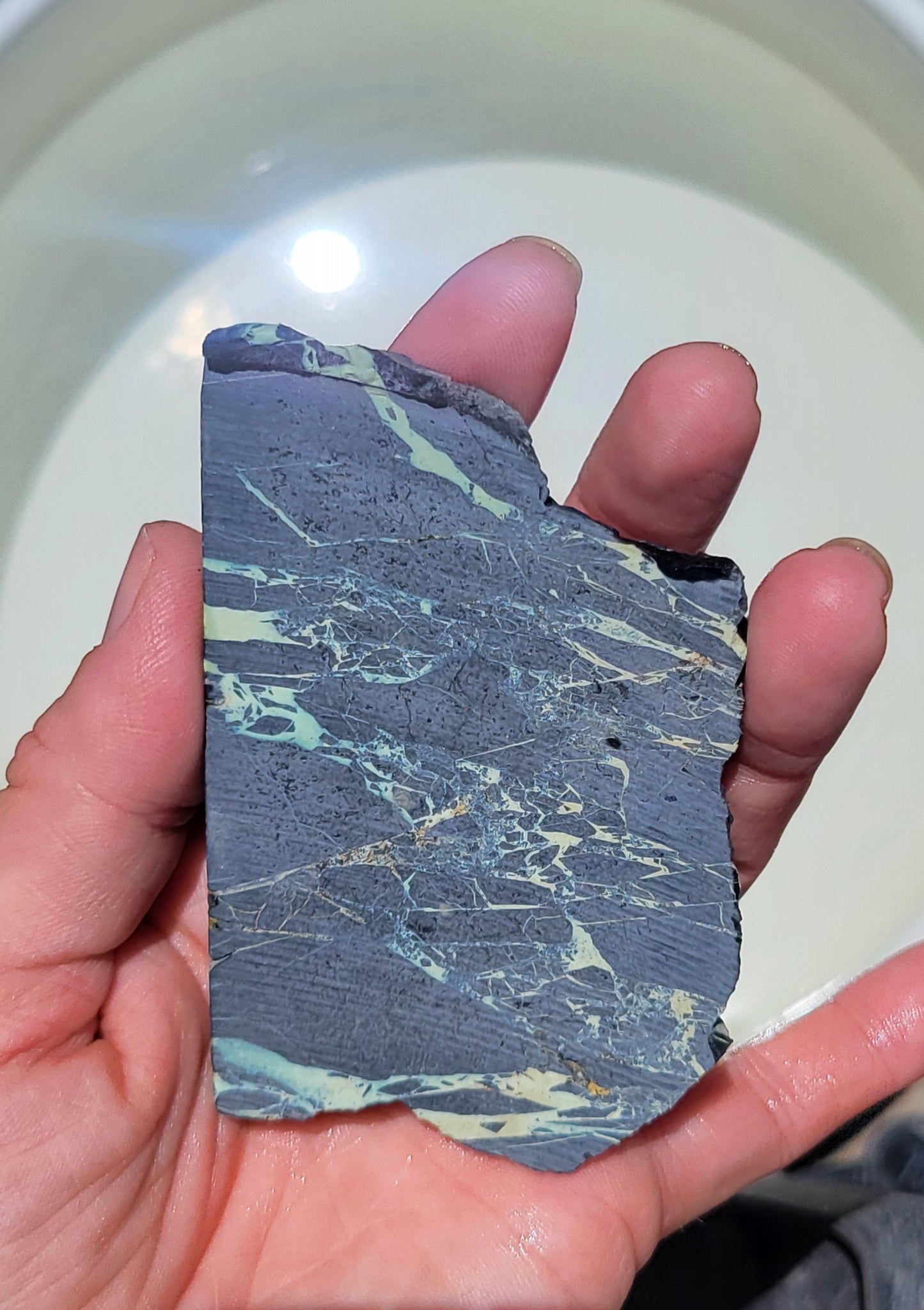 San Pedro Variscite/Turquoise slabs for cabbing/display - Nevada Variscite