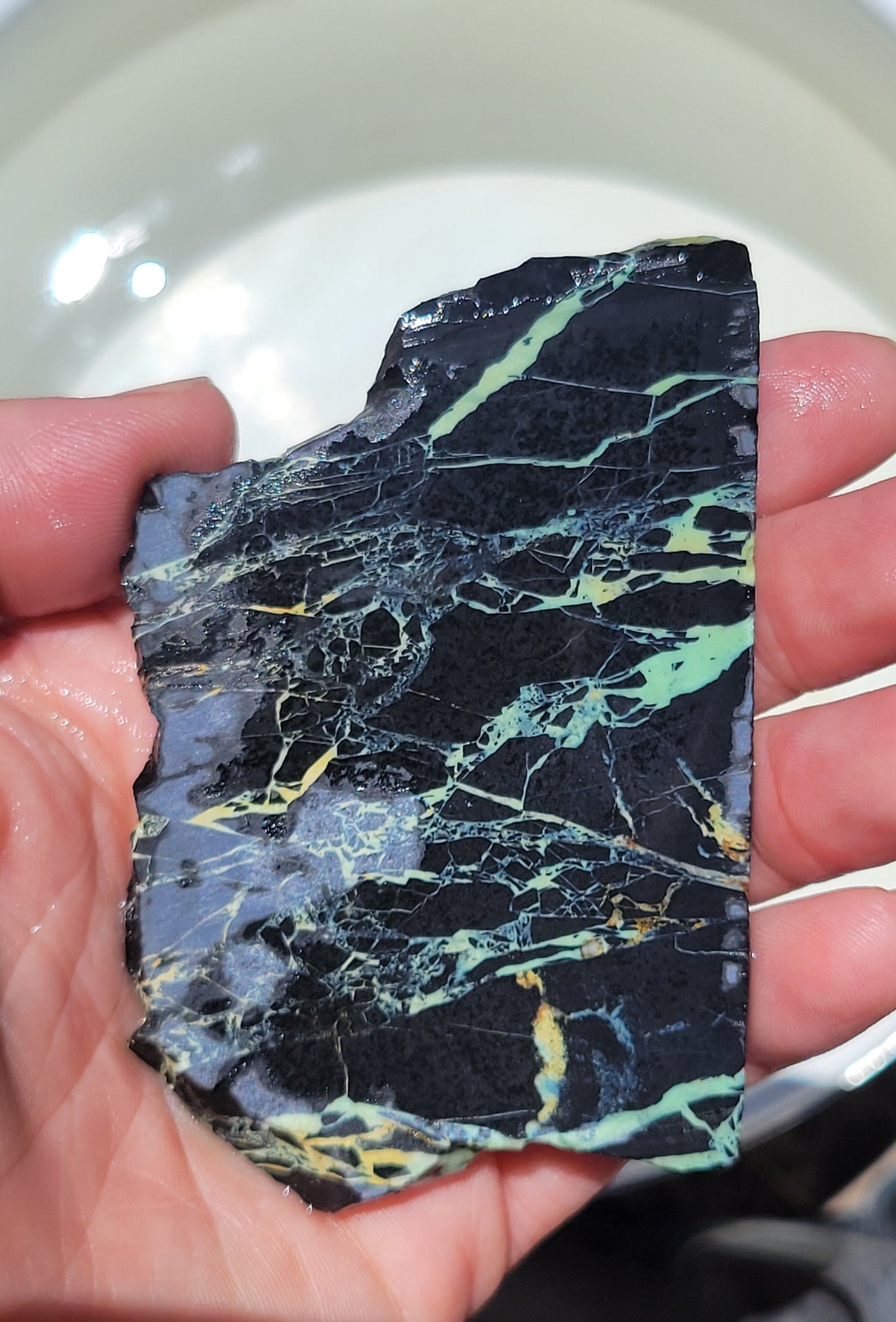 San Pedro Variscite/Turquoise slabs for cabbing/display - Nevada Variscite