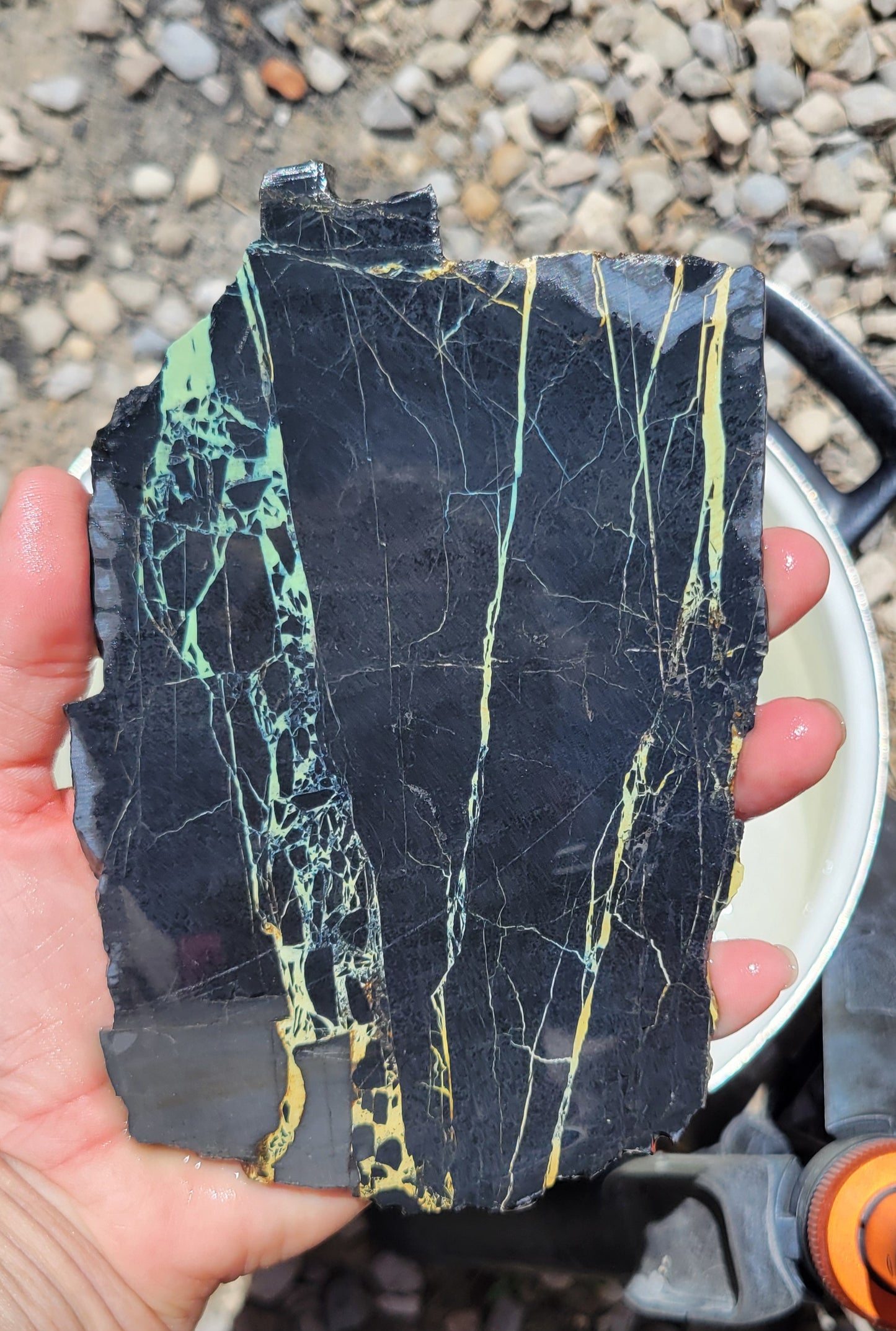 San Pedro Variscite/Turquoise slabs for cabbing/display - Nevada Variscite