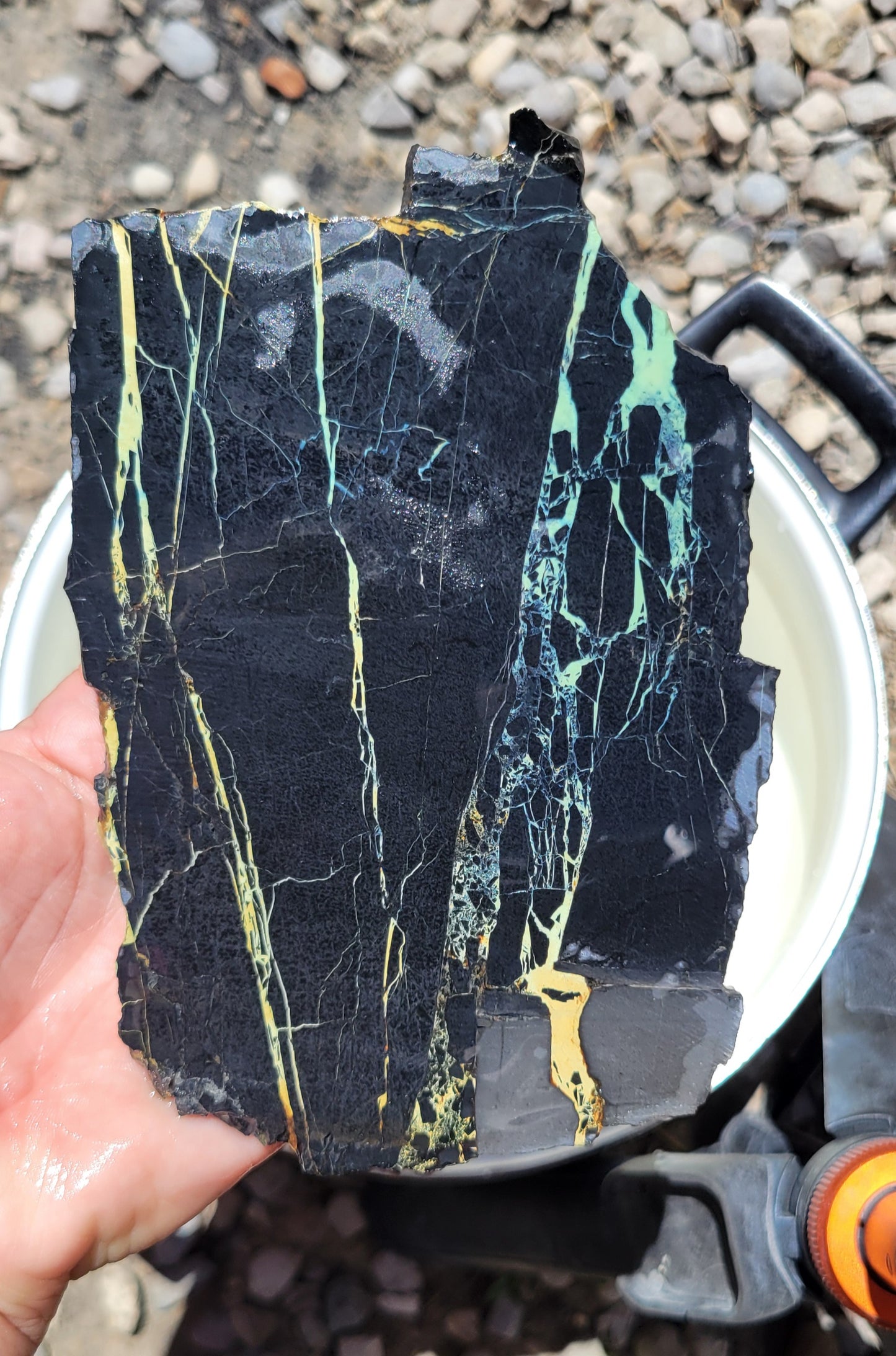 San Pedro Variscite/Turquoise slabs for cabbing/display - Nevada Variscite