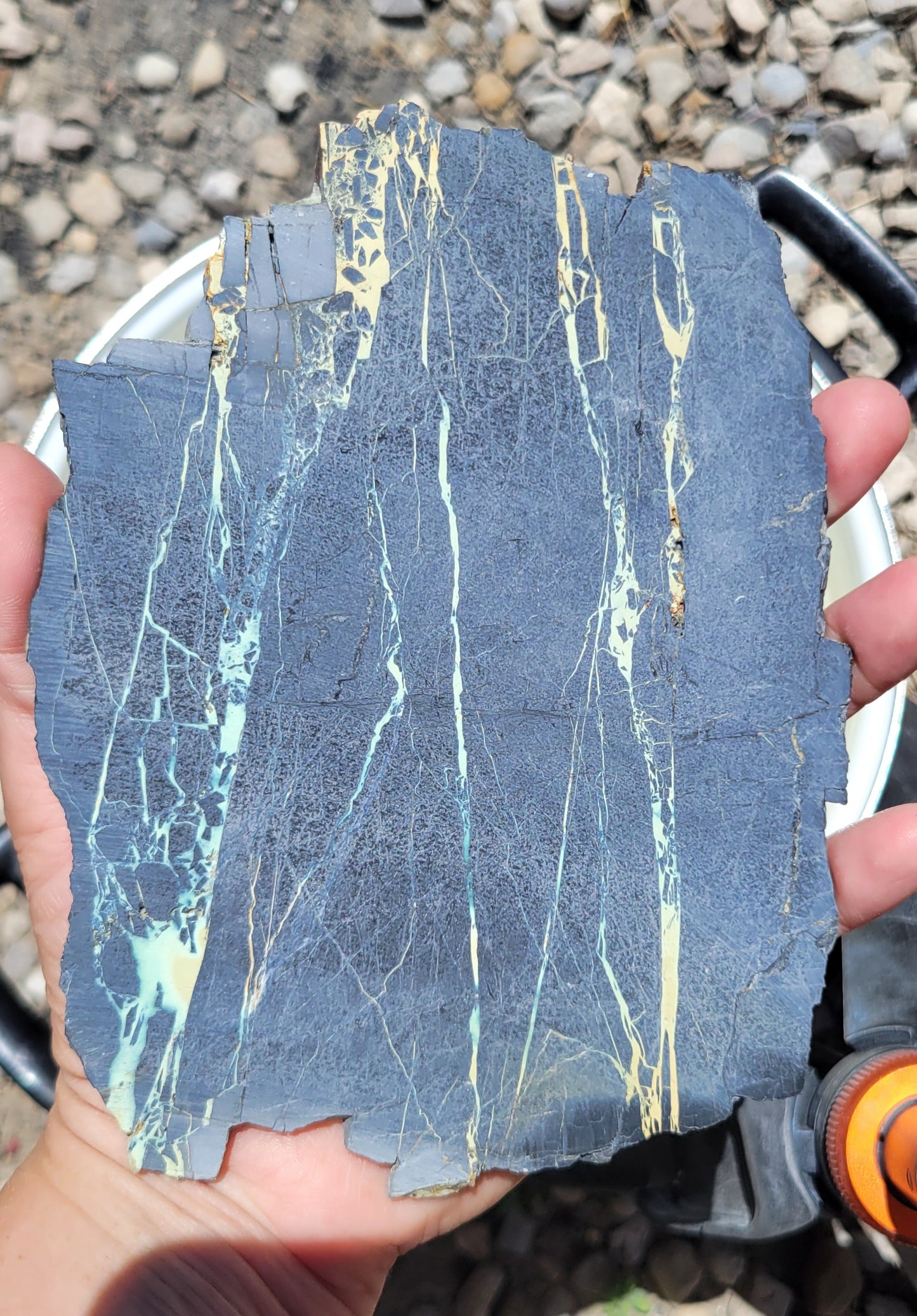 San Pedro Variscite/Turquoise slabs for cabbing/display - Nevada Variscite