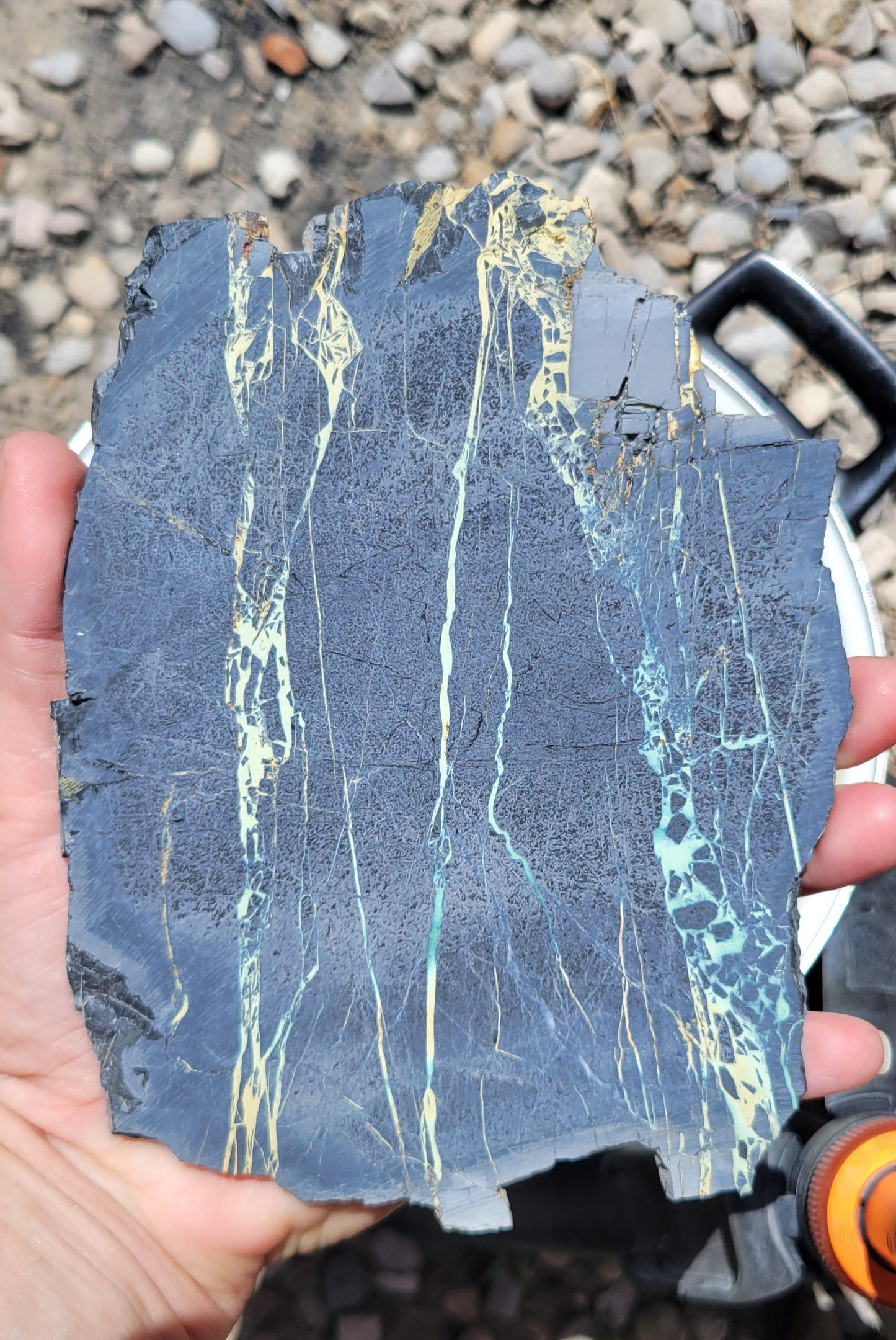 San Pedro Variscite/Turquoise slabs for cabbing/display - Nevada Variscite