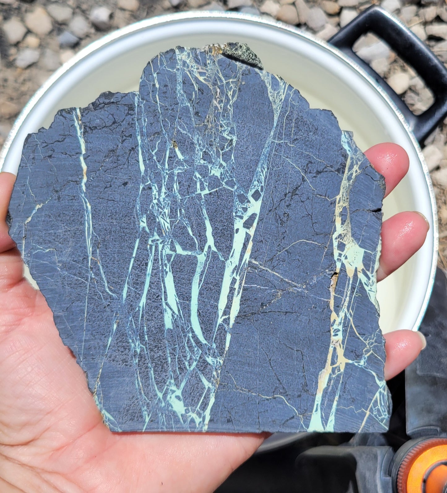 San Pedro Variscite/Turquoise slabs for cabbing/display - Nevada Variscite