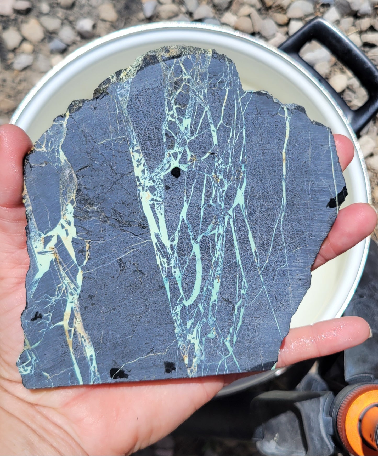 San Pedro Variscite/Turquoise slabs for cabbing/display - Nevada Variscite