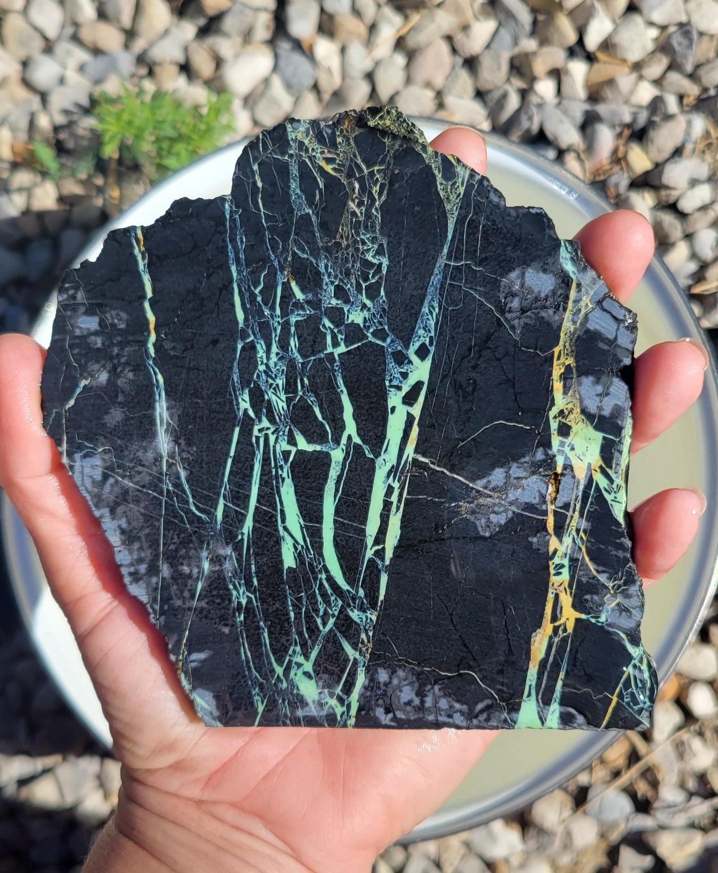 San Pedro Variscite/Turquoise slabs for cabbing/display - Nevada Variscite