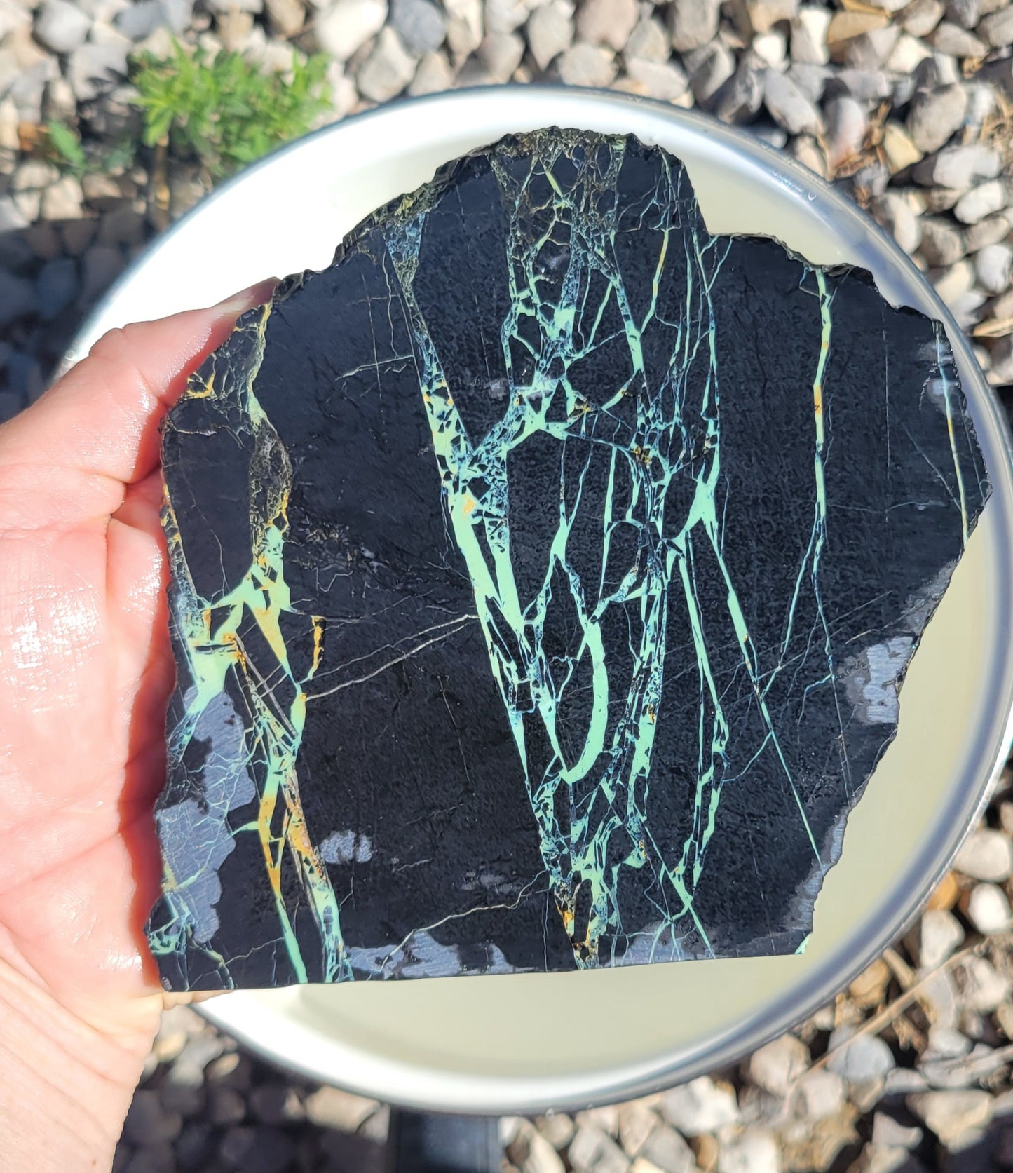 San Pedro Variscite/Turquoise slabs for cabbing/display - Nevada Variscite