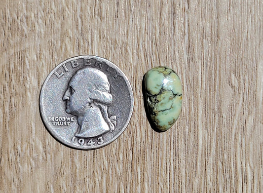 Saguaro Variscite Cabochon