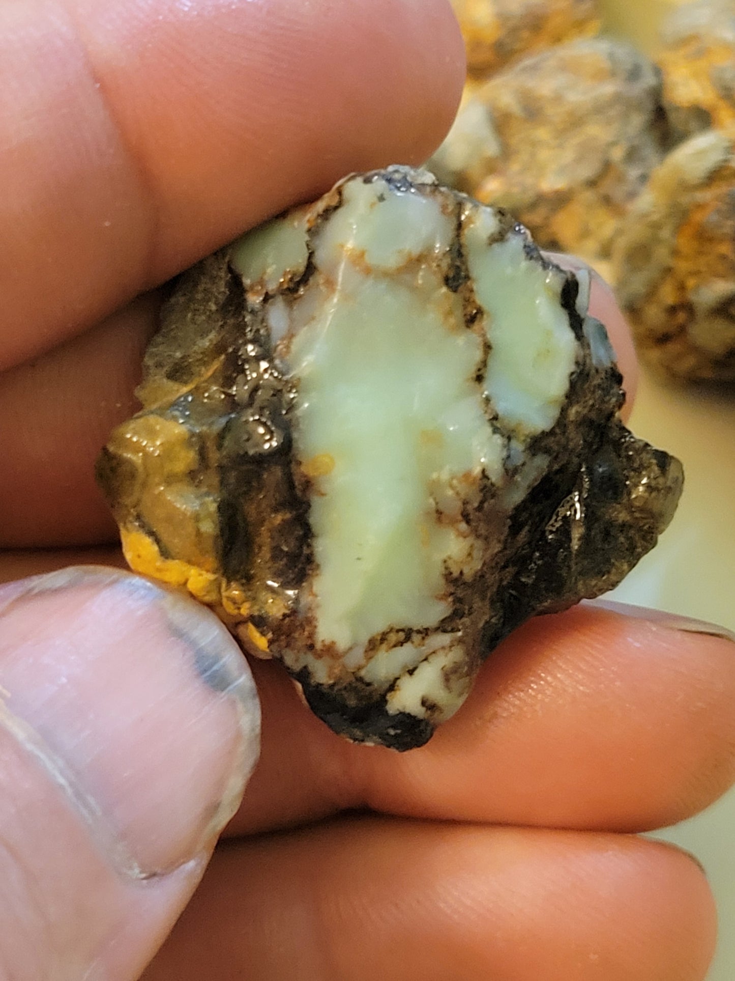 Aloe Variscite Rough for Cabbing (Bulk)