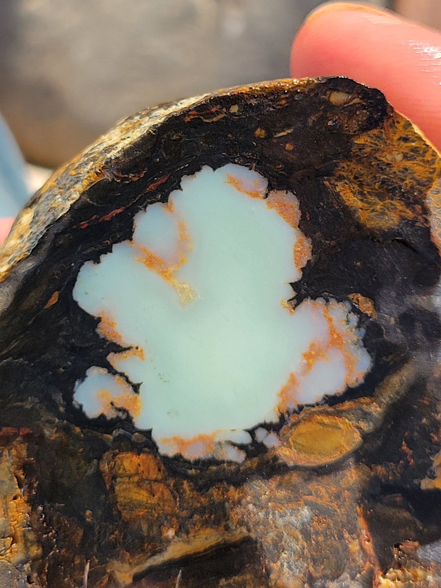 Aloe Variscite Rough for Cabbing