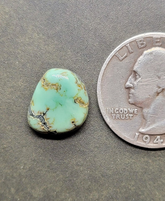 Saguaro Variscite Cabochon